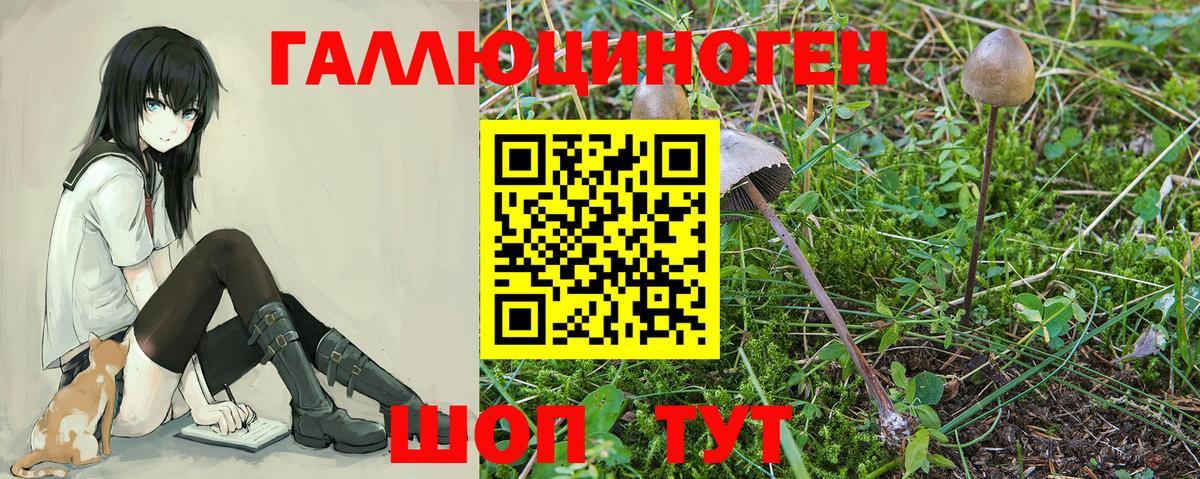 Псилоцибиновые грибы Magic Shrooms Комсомольск-на-Амуре